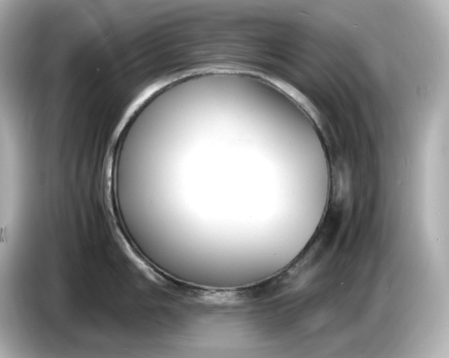 X0000086911006200704301033