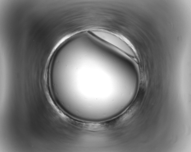 X0000086911007200704301033