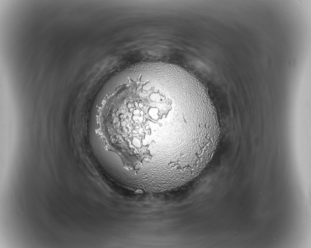 X0000086911009200704301032