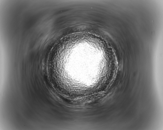 X0000086911011200704301032