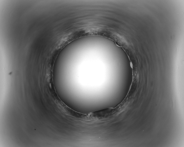 X0000086911012200704301032