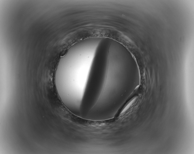 X0000086911013200704301032