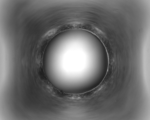 X0000086911014200704301033