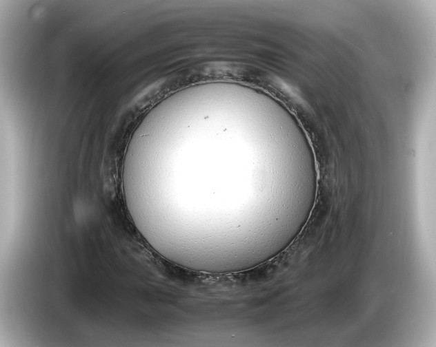 X0000086911015200704301033