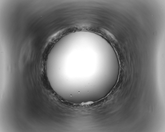 X0000086911016200704301033