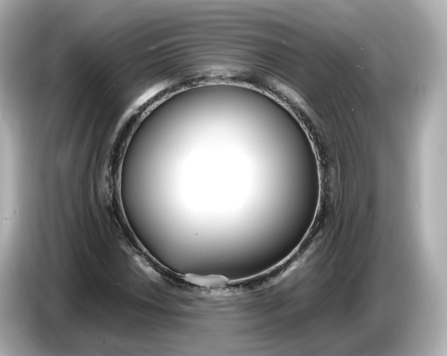 X0000086911018200704301033