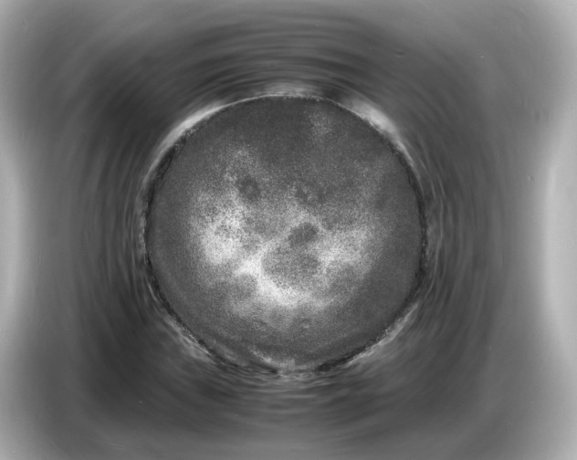 X0000086911019200704301033