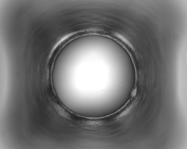 X0000086911021200704301033