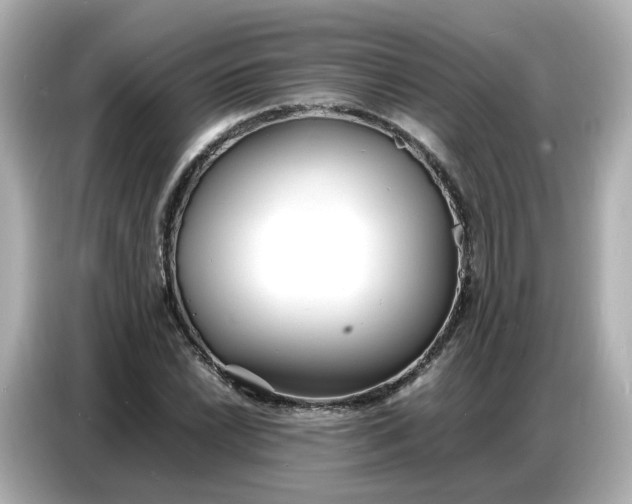 X0000086911022200704301033