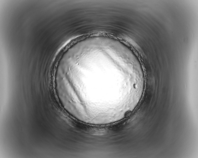 X0000086911023200704301033