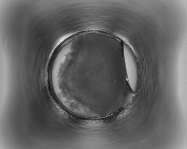 X0000086911024200704301033