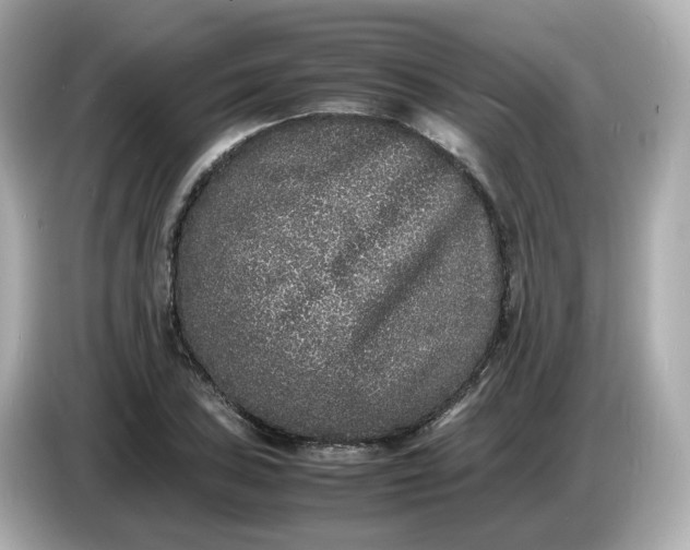 X0000086911027200704301033