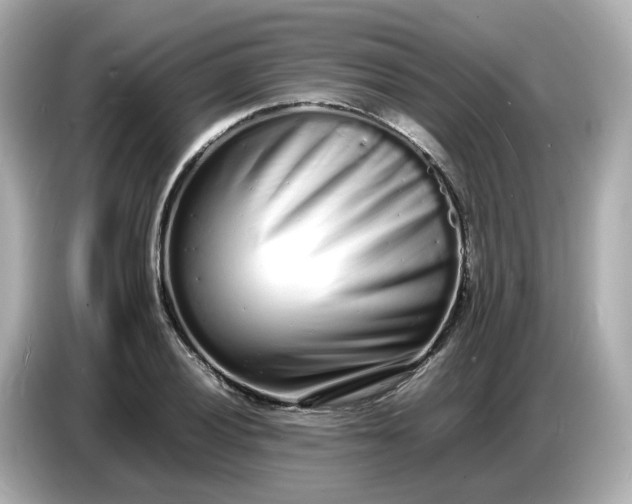 X0000086911028200704301033