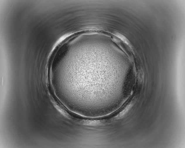 X0000086911030200704301033