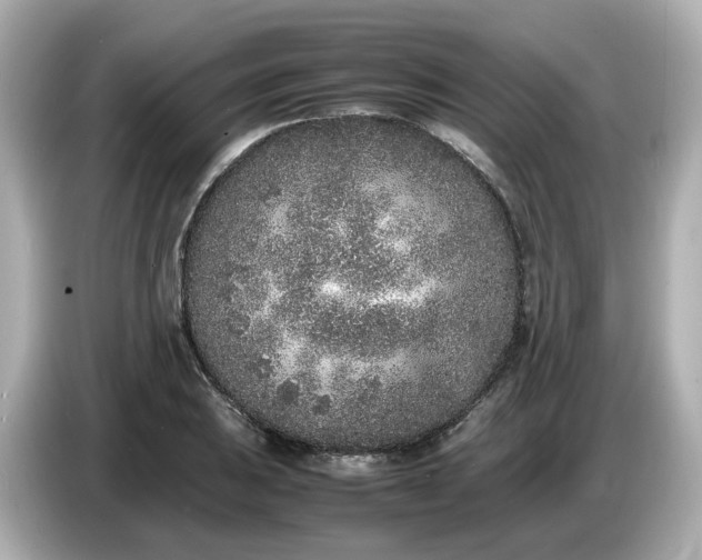 X0000086911031200704301033