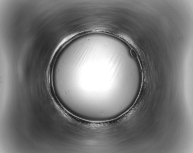 X0000086911032200704301033