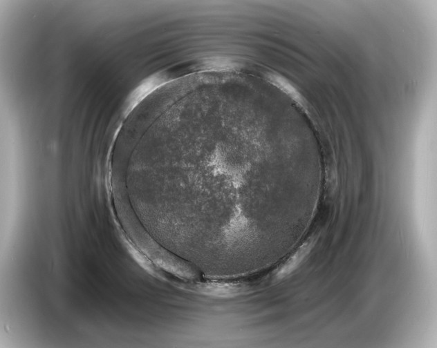 X0000086911034200704301033