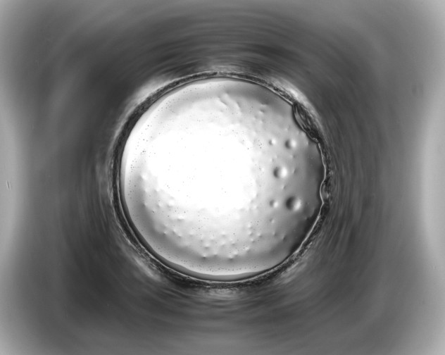 X0000086911035200704301033