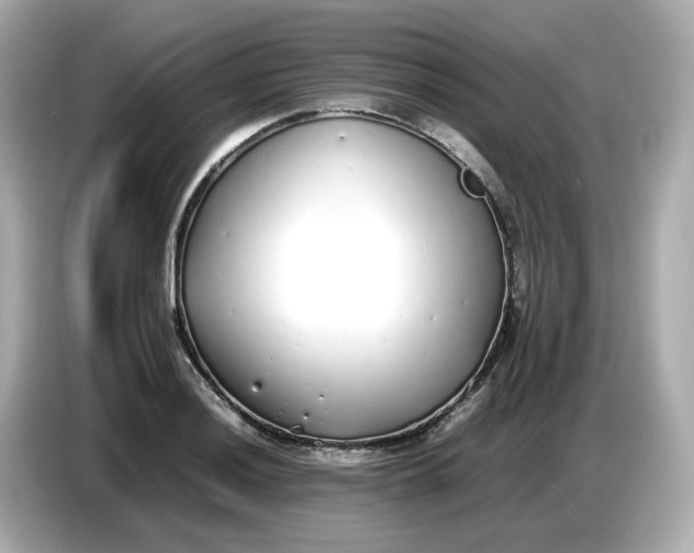 X0000086911036200704301033