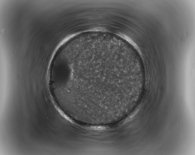 X0000086911037200704301033