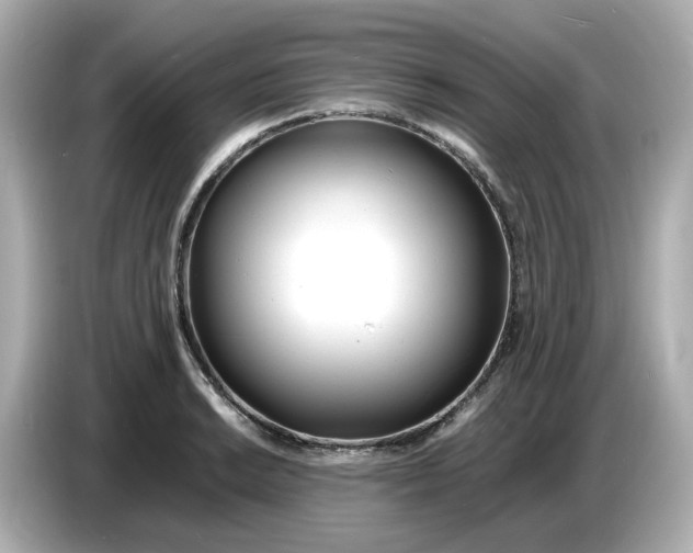 X0000086911038200704301033