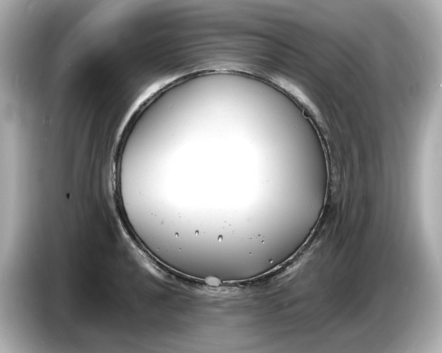 X0000086911040200704301033