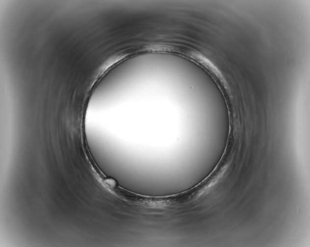 X0000086911041200704301033