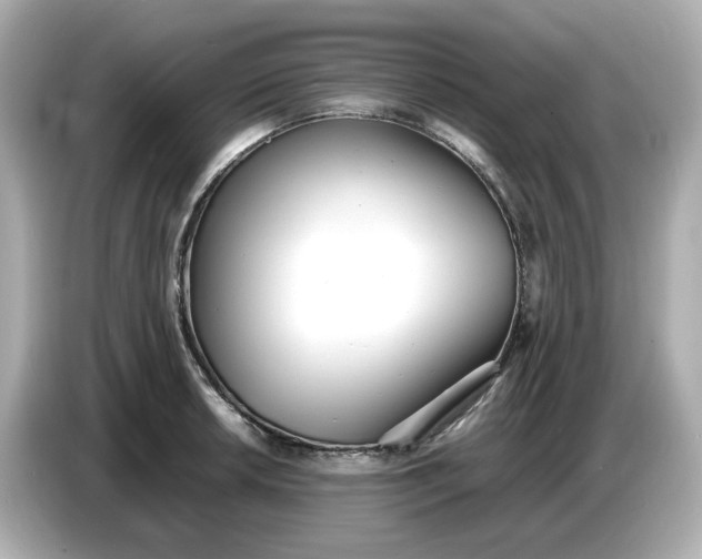 X0000086911042200704301033