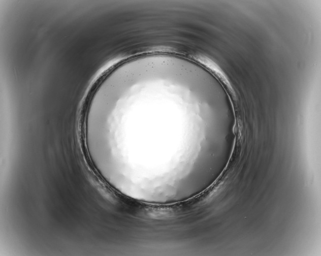 X0000086911043200704301033