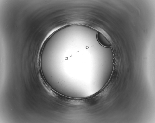 X0000086911044200704301033