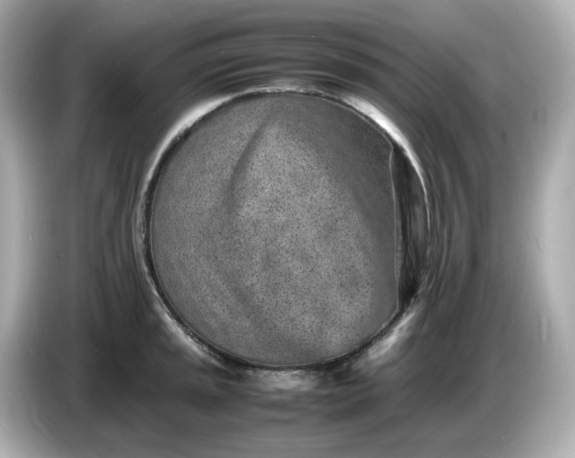 X0000086911045200704301033