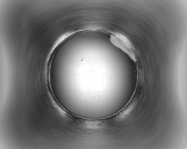 X0000086911046200704301033