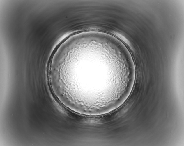 X0000086911047200704301033