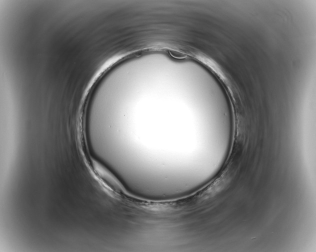 X0000086911048200704301033