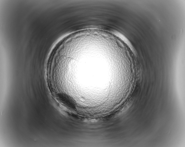 X0000086911051200704301033