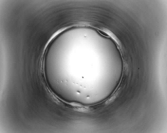 X0000086911052200704301033