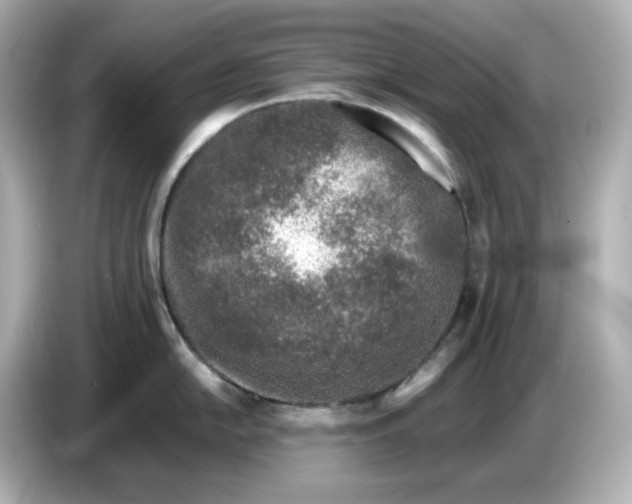 X0000086911054200704301033