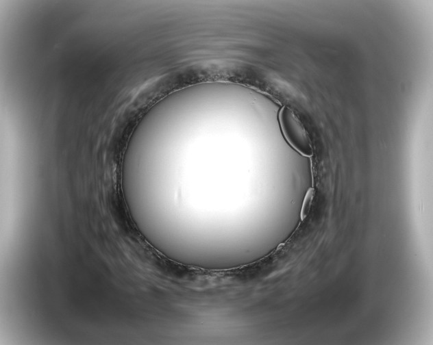 X0000086911061200704301032