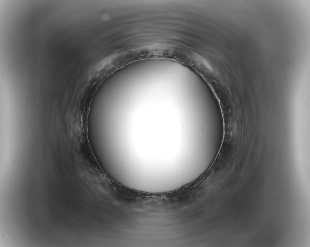 X0000086911062200704301032