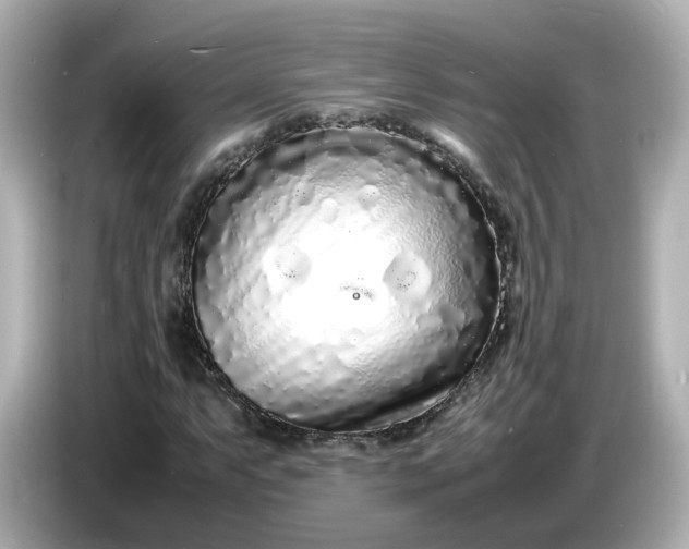 X0000086911063200704301032