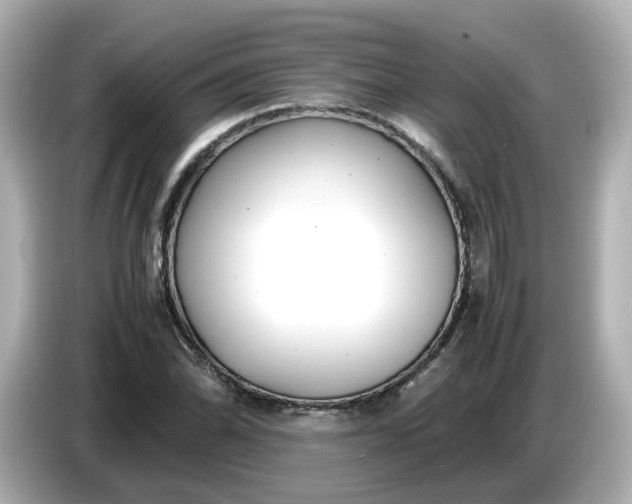 X0000086911070200704301032