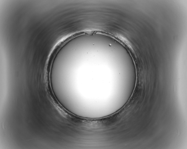 X0000086911072200704301032