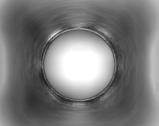 X0000086911073200704301032