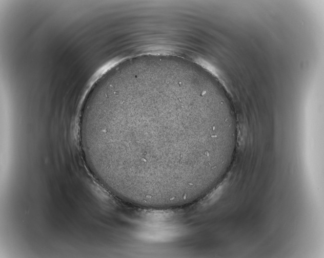 X0000086911074200704301032