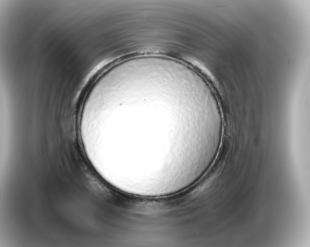 X0000086911075200704301032