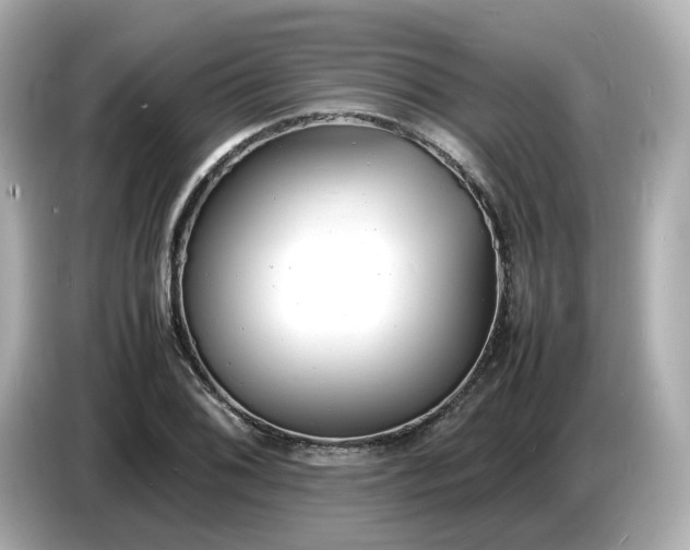 X0000086911076200704301032