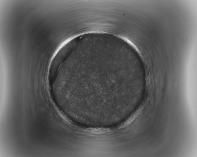 X0000086911077200704301032