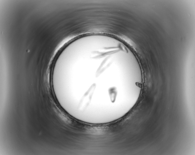 X0000086911078200704301032