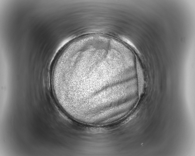 X0000086911079200704301032