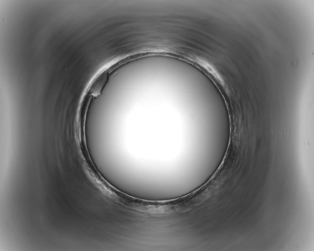 X0000086911080200704301032